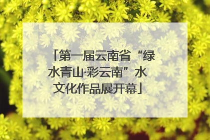 第一届云南省“绿水青山·彩云南”水文化作品展开幕