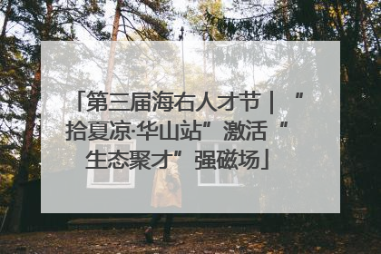 第三届海右人才节｜“拾夏凉·华山站”激活“生态聚才”强磁场