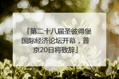 第二十八届圣彼得堡国际经济论坛开幕，普京20日将致辞