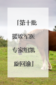 第十批援埃军医专家组凯旋回渝