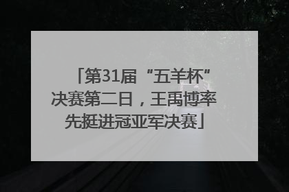 第31届“五羊杯”决赛第二日，王禹博率先挺进冠亚军决赛