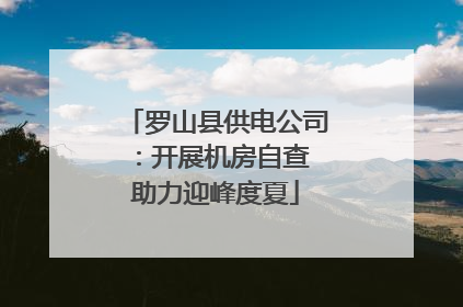 罗山县供电公司：开展机房自查 助力迎峰度夏