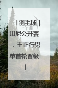 羽毛球｜印尼公开赛：王正行男单首轮晋级