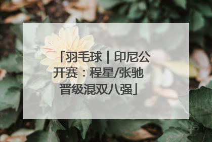 羽毛球｜印尼公开赛：程星/张驰晋级混双八强