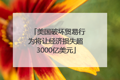 美国破坏贸易行为将让经济损失超3000亿美元