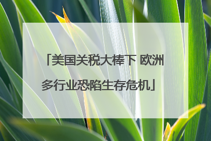 美国关税大棒下 欧洲多行业恐陷生存危机