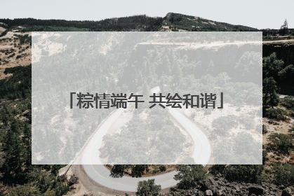 粽情端午 共绘和谐