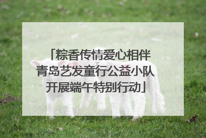 粽香传情爱心相伴 青岛艺发童行公益小队开展端午特别行动