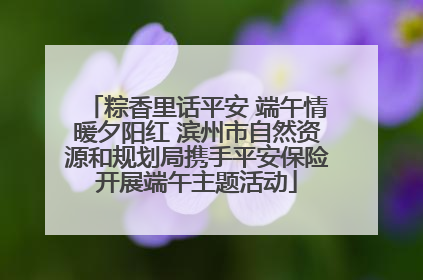 粽香里话平安 端午情暖夕阳红 滨州市自然资源和规划局携手平安保险开展端午主题活动