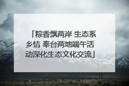 粽香飘两岸 生态系乡情 奉台两地端午活动深化生态文化交流