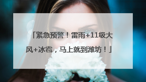 紧急预警！雷雨+11级大风+冰雹，马上就到潍坊！
