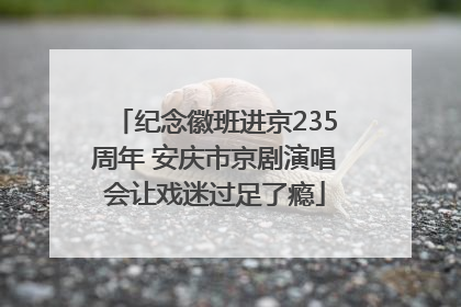 纪念徽班进京235周年 安庆市京剧演唱会让戏迷过足了瘾
