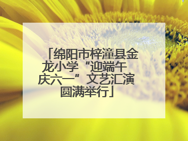 绵阳市梓潼县金龙小学“迎端午 庆六一”文艺汇演圆满举行