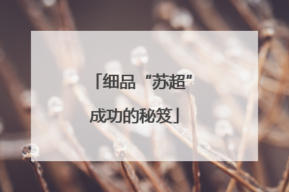 细品“苏超”成功的秘笈