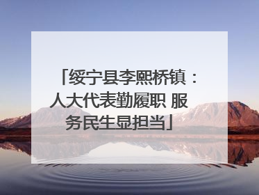 绥宁县李熙桥镇：人大代表勤履职 服务民生显担当