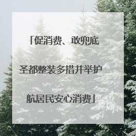 促消费、敢兜底 圣都整装多措并举护航居民安心消费