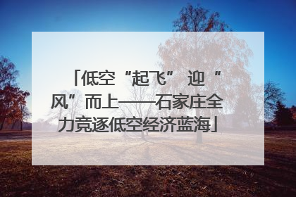 低空“起飞” 迎“风”而上——石家庄全力竞逐低空经济蓝海