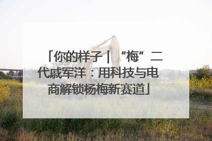 你的样子｜“梅”二代戚军洋：用科技与电商解锁杨梅新赛道