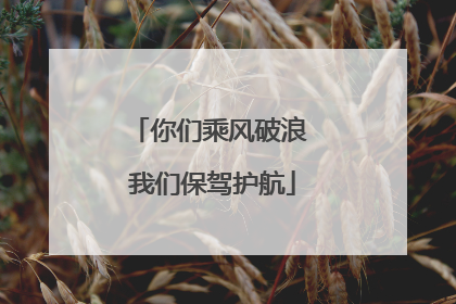 你们乘风破浪 我们保驾护航