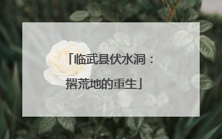 临武县伏水洞：撂荒地的重生
