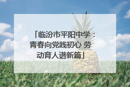 临汾市平阳中学：青春向党践初心 劳动育人谱新篇