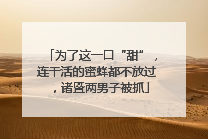 为了这一口“甜”，连干活的蜜蜂都不放过，诸暨两男子被抓