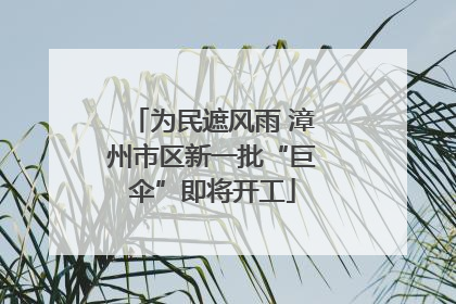 为民遮风雨 漳州市区新一批“巨伞”即将开工