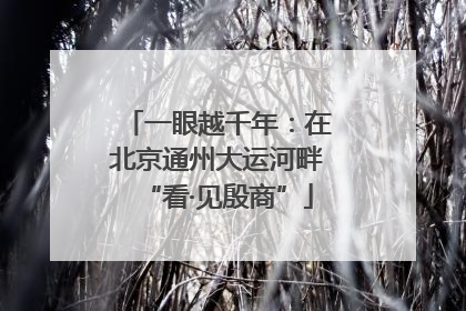 一眼越千年：在北京通州大运河畔“看·见殷商”