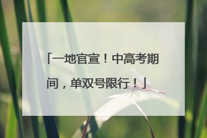 一地官宣！中高考期间，单双号限行！