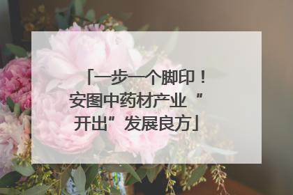 一步一个脚印！安图中药材产业“开出”发展良方