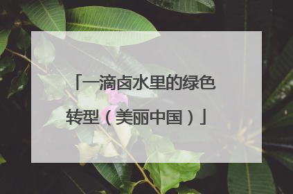 一滴卤水里的绿色转型（美丽中国）