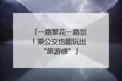 一路繁花一路景！乘公交也能玩出“旅游感”