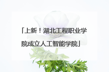 上新！湖北工程职业学院成立人工智能学院