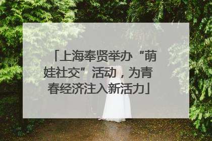 上海奉贤举办“萌娃社交”活动，为青春经济注入新活力