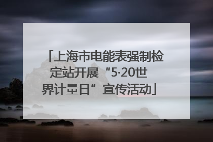 上海市电能表强制检定站开展“5·20世界计量日”宣传活动