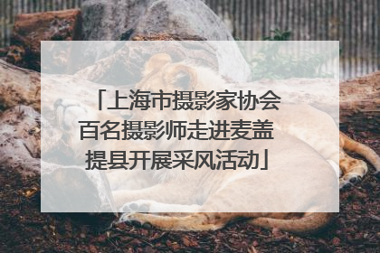 上海市摄影家协会百名摄影师走进麦盖提县开展采风活动