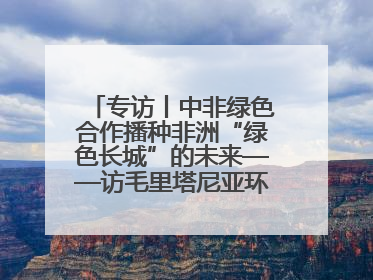 专访丨中非绿色合作播种非洲“绿色长城”的未来——访毛里塔尼亚环境部长拉格达夫