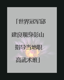 世界冠军邱建良现身彭山 指导当地职高武术班
