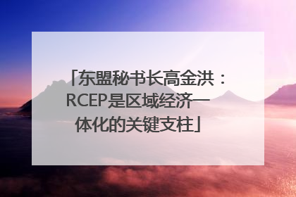 东盟秘书长高金洪：RCEP是区域经济一体化的关键支柱