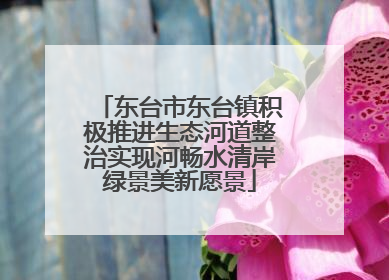 东台市东台镇积极推进生态河道整治实现河畅水清岸绿景美新愿景