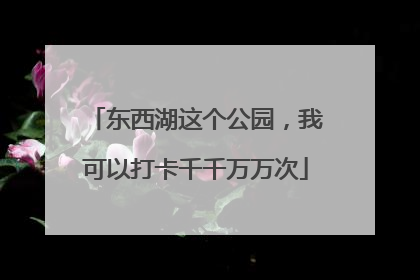 东西湖这个公园，我可以打卡千千万万次