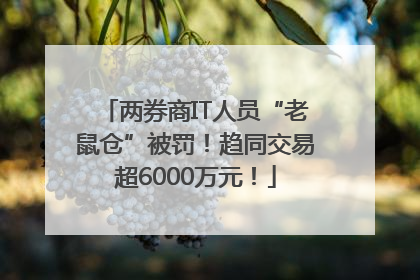 两券商IT人员“老鼠仓”被罚！趋同交易超6000万元！