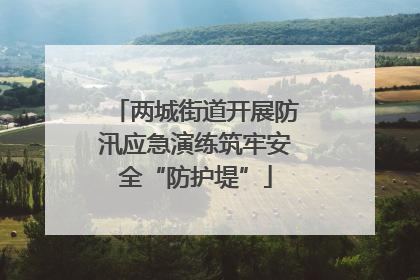 两城街道开展防汛应急演练筑牢安全“防护堤”