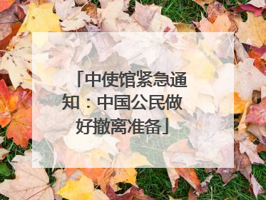 中使馆紧急通知：中国公民做好撤离准备