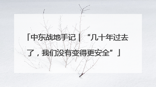 中东战地手记｜“几十年过去了，我们没有变得更安全”