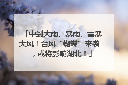 中到大雨、暴雨、雷暴大风！台风“蝴蝶”来袭，或将影响湖北！