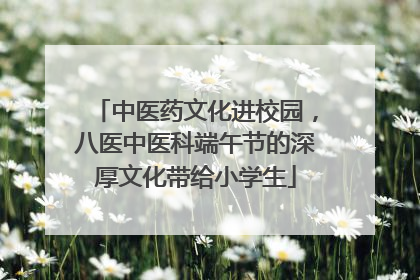中医药文化进校园，八医中医科端午节的深厚文化带给小学生