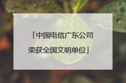 中国电信广东公司荣获全国文明单位