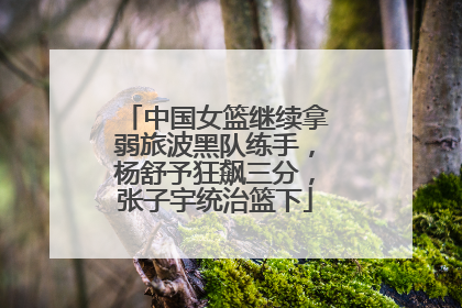 中国女篮继续拿弱旅波黑队练手，杨舒予狂飙三分，张子宇统治篮下