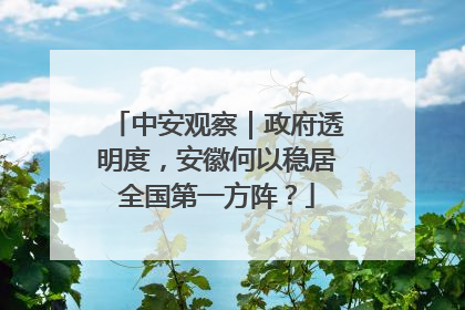 中安观察｜政府透明度，安徽何以稳居全国第一方阵？